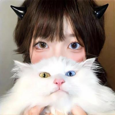 木更津猫眼 日本系列